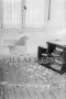 101747