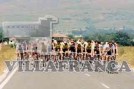 24223