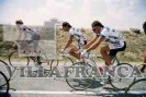 24501